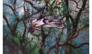 Harpy Eagle Hunting